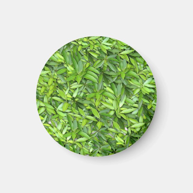 Lush Green Leaves Pattern – Nature Botanical  Magnet (Front)