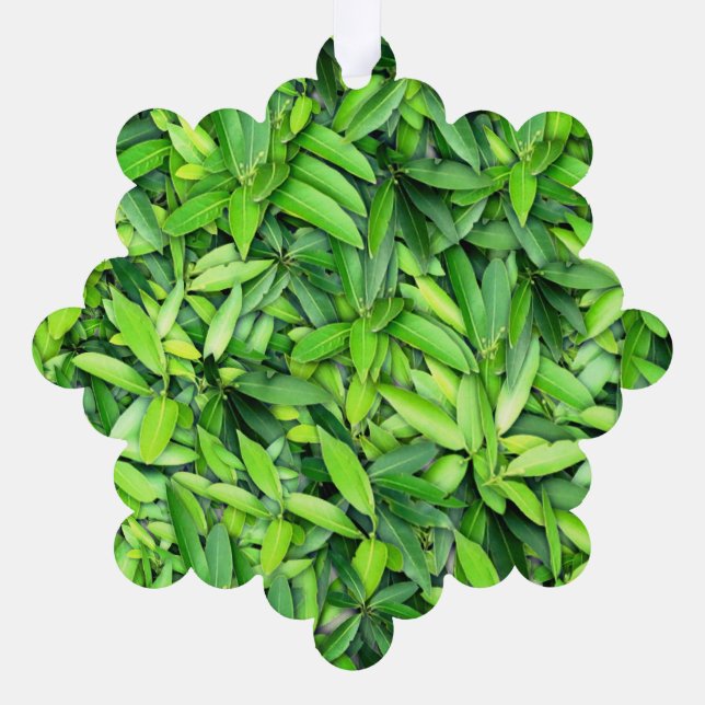 Lush Green Leaves Pattern – Nature Botanical  Ornament Card (Back)