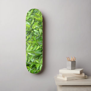 Lush Green Leaves Pattern – Nature Botanical  Skateboard
