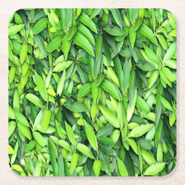 Lush Green Leaves Pattern – Nature Botanical  Square Paper Coaster (Front)