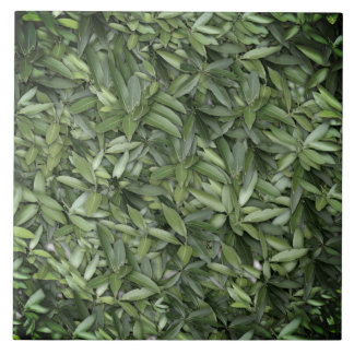Lush Green Leaves Pattern – Nature Botanical  Tile