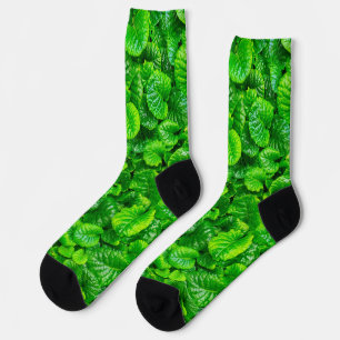 Lush Green Leaves Socks