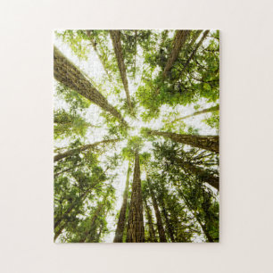 Lush Green Rain Forest Jigsaw Puzzle