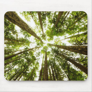Lush Green Rain Forest Mouse Pad