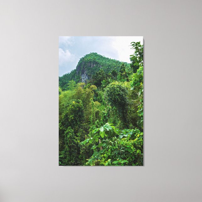 Lush rainforest and el yunque peak canvas print (Front)