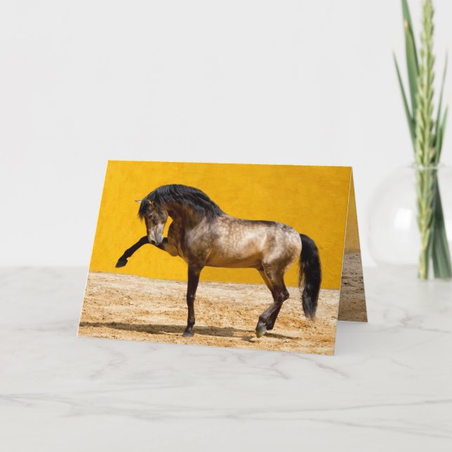 Lusitano Stallion Horse Greeting Card (Front)