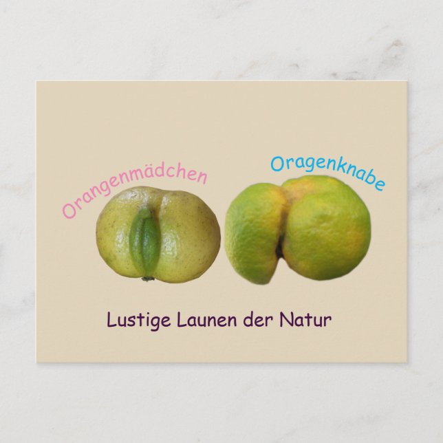Lustige Orangen Postcard (Front)