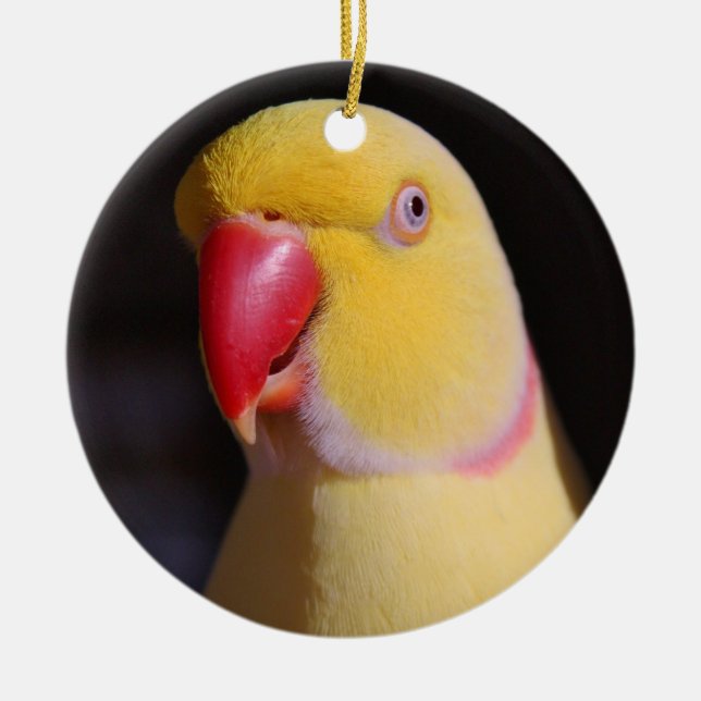 Lutino Indian Ringneck Parakeet Beak Ceramic Ornament (Front)