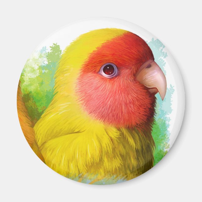Lutino peach faced lovebird magnet (Front)
