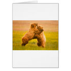 Lutte contre les ours grizzlis