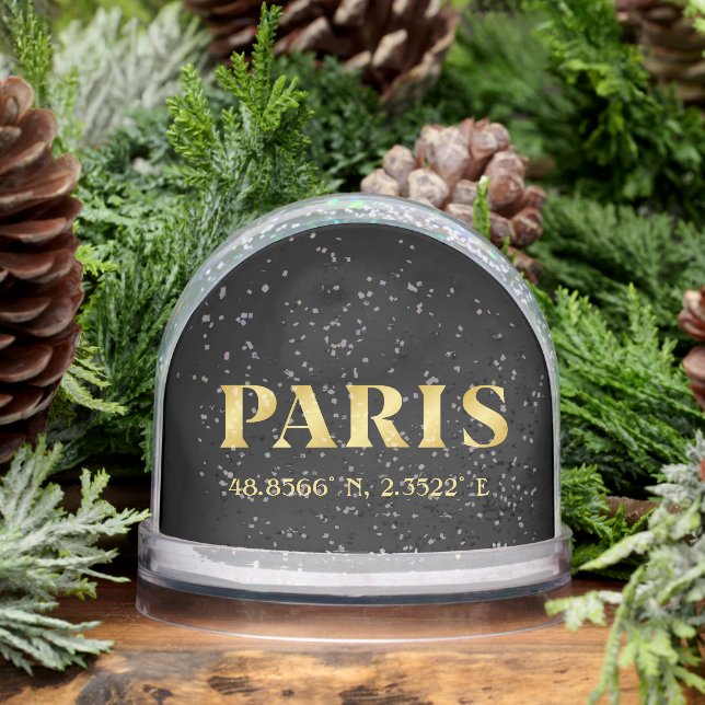 Lux Gold Paris Latitude & Longitude Snowglobe (Winter)