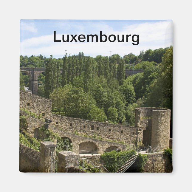 Luxembourg Ruins Magnet (Front)