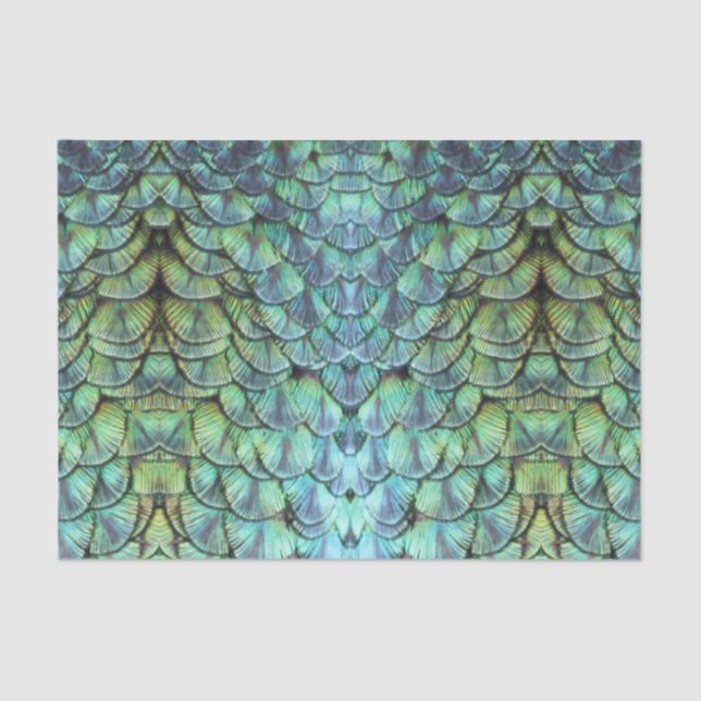 Luxurious Elegant Teal Peacock Back Feathers Tissue Paper (Front)