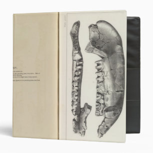 LXXIV Aphelops Binder