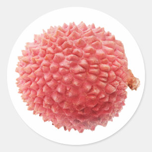 Lychee fruit classic round sticker