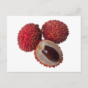 Lychees Postcard