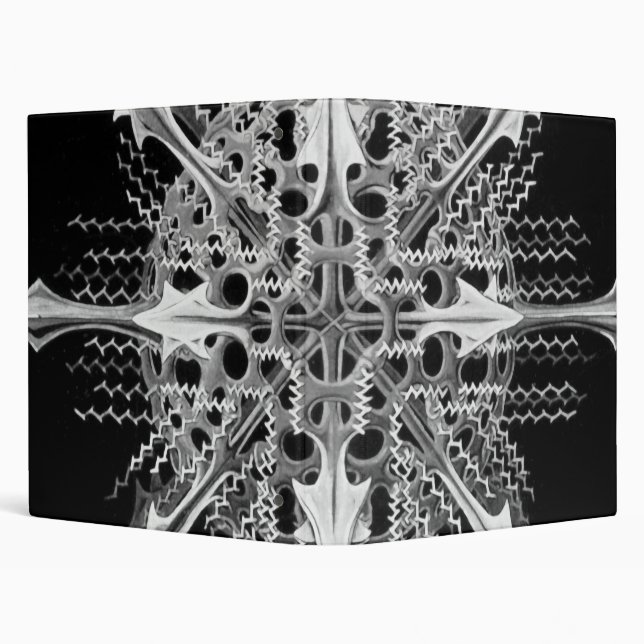 Lychnaspis miranda Ernst Haeckel Fine Art Binder (Background)