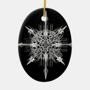 Lychnaspis miranda Ernst Haeckel Fine Art Ceramic Ornament