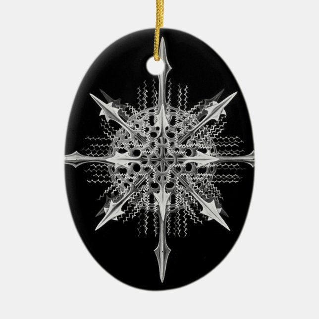 Lychnaspis miranda Ernst Haeckel Fine Art Ceramic Ornament (Front)