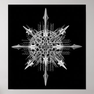 Lychnaspis miranda Ernst Haeckel Fine Art Poster