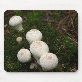 Lycoperdon puffball mushrooms mouse pad