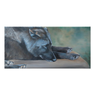 Lying Black Wolf Art Photo Print