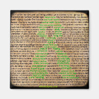 Lyme Disease Feelings Poster Denied Ignored Magnet