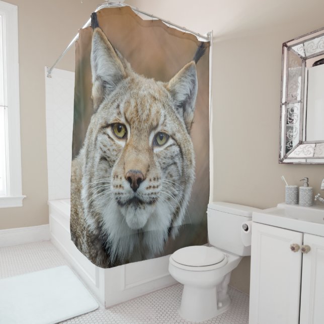 Lynx (In Situ)