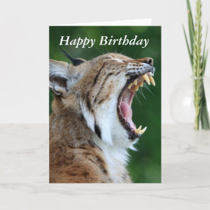 Lynx, bobcat beautiful photo happy birthday card