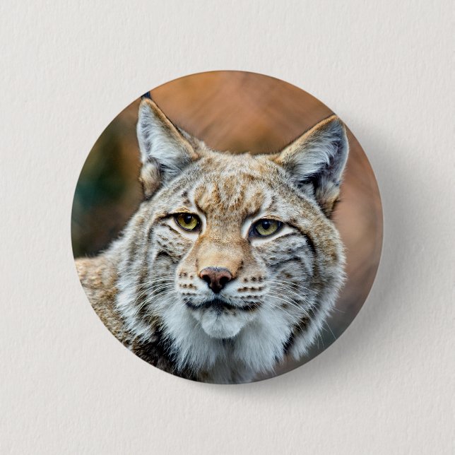 Lynx Bobcat Wildlife Predator Cat 2 Inch Round Button (Front)