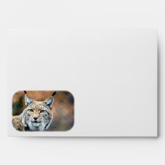 Lynx Bobcat Wildlife Predator Cat Envelope (Front)