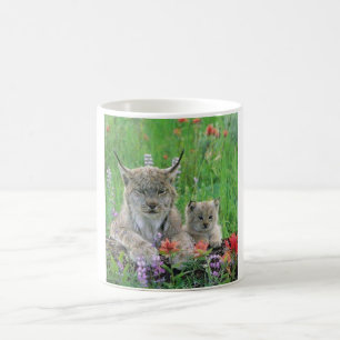Lynx Cat & Kitten Cute Coffee Cup