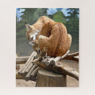 Lynx cats jigsaw puzzle