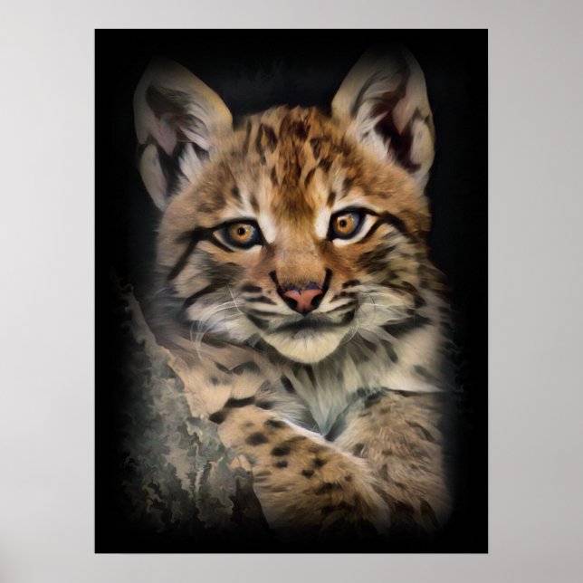 Lynx Cub Poster (Front)