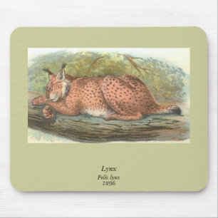 Lynx, Felis lynx Mouse Pad