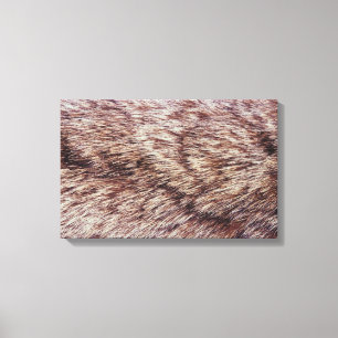 Lynx fur canvas print