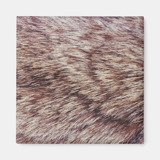 Lynx fur magnet (Front)