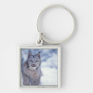 Lynx in the snow in the foothills keychain