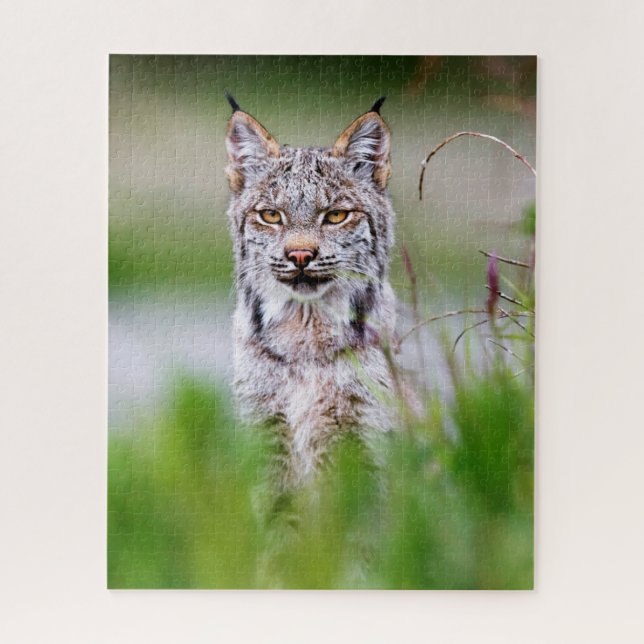 Lynx Jigsaw Puzzle (Vertical)