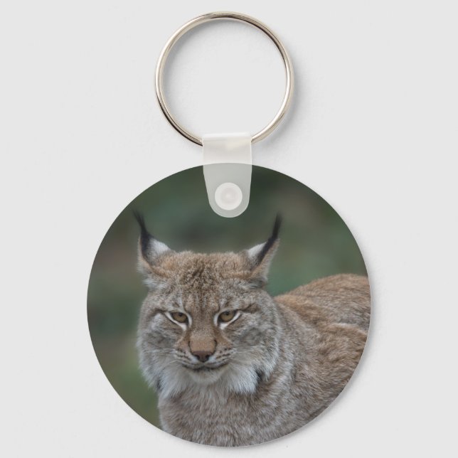 Lynx Looking At You Classic Keychain (Front)
