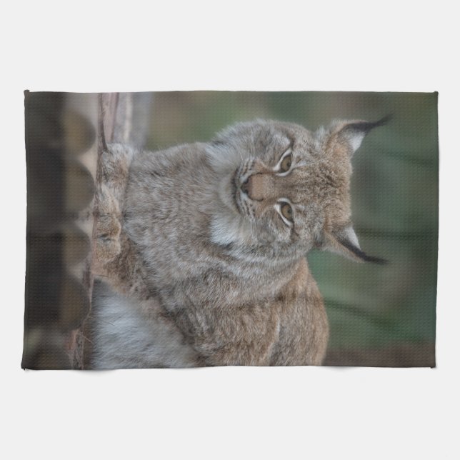 Lynx Looking At You Fleece Blanket Kitchen Towel (Horizontal)