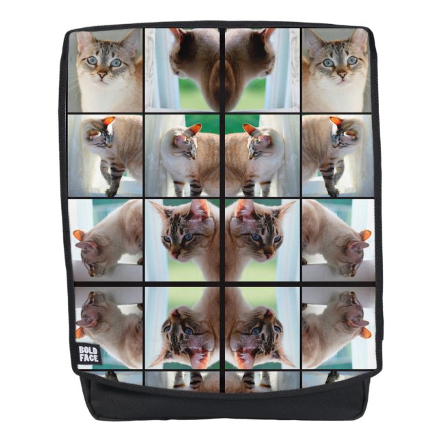 Lynx Point Siamese Cat Backpack (Front)