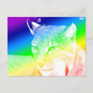 Lynx Rainbow Highlights Postcard