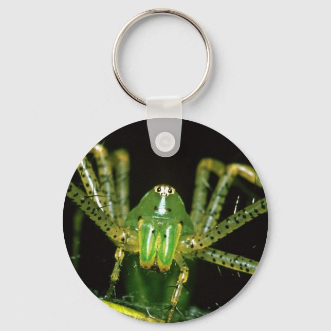 Lynx Spider Keychain (Front)