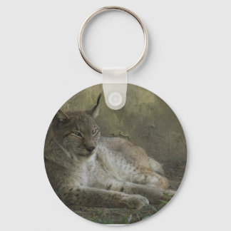 Lynx wild animal from north america keychain