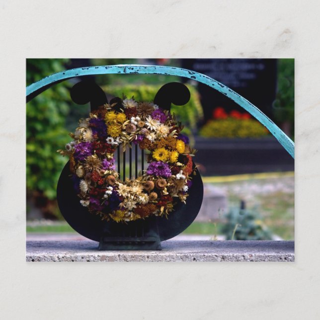 Lyre With Strawflowers Postcard (Front)