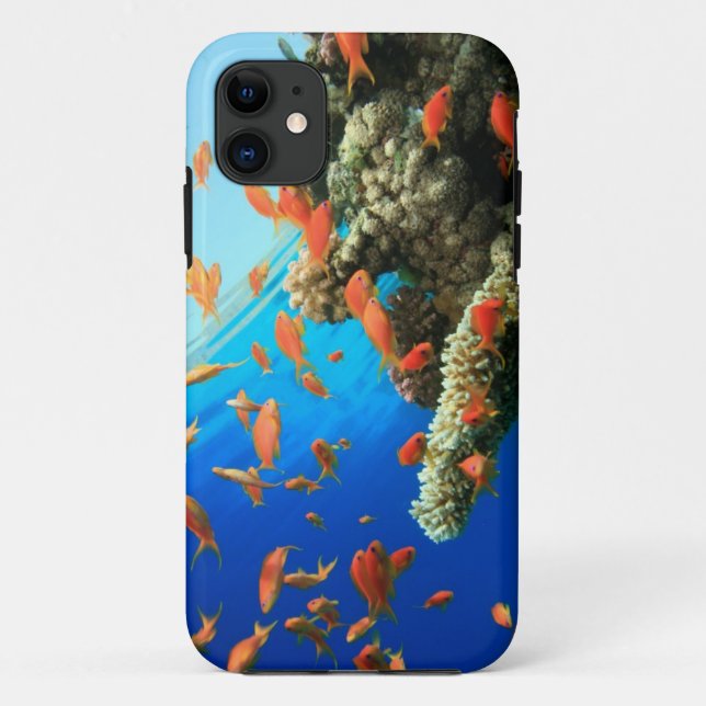 Lyretail anthias on coral reef Case-Mate iPhone case (Back)