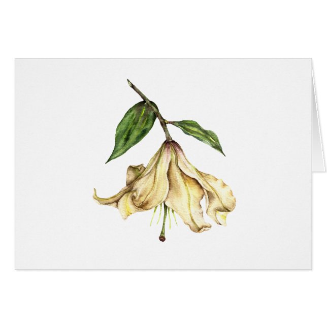 Lys blancs (Devant horizontal)