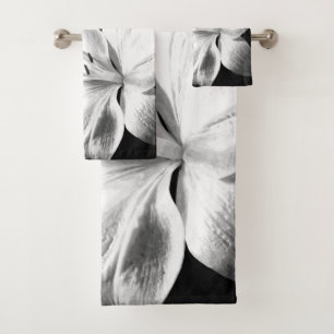 Lys de fleurs noires et blanches