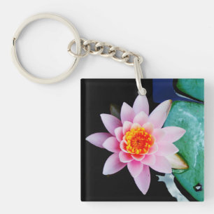Lys d'eau chaude rose et orange lotus